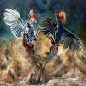 GOGOJILI Cockfighting 2