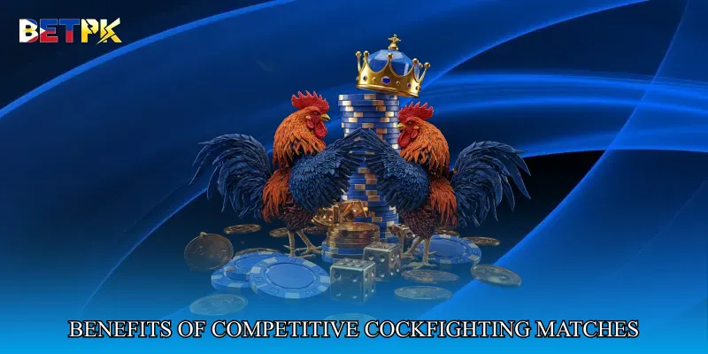 Benefits of Engaging with Competitive Cockfighting Matches