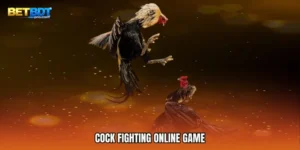 Cock Fighting online game