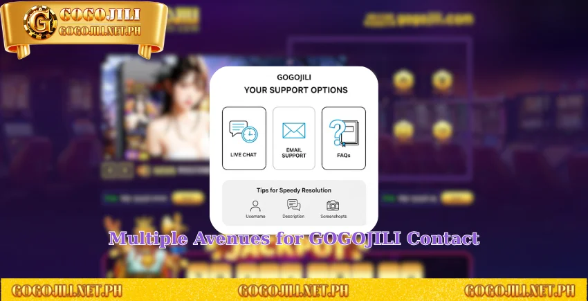 Multiple Avenues for GOGOJILI Contact
