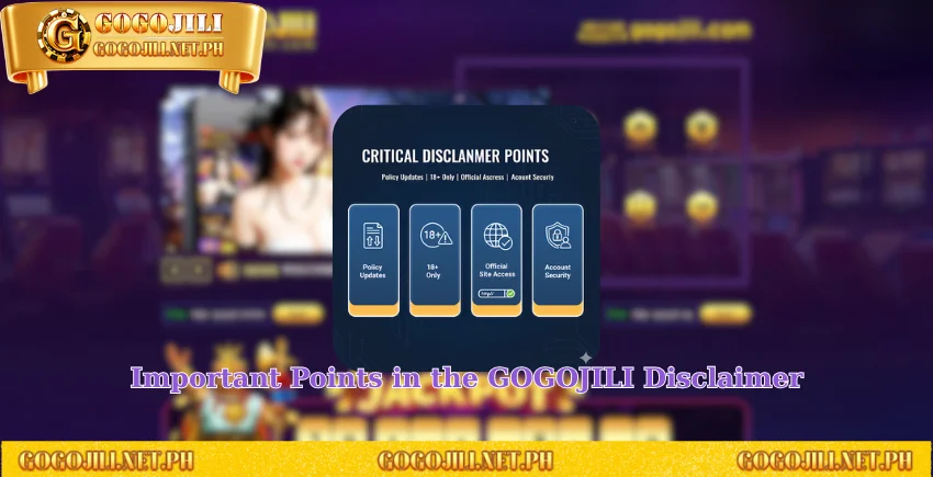 Important Points in the GOGOJILI Disclaimer