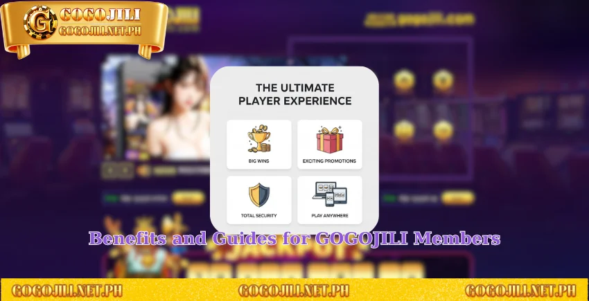 Benefits and Guides for GOGOJILI Members
