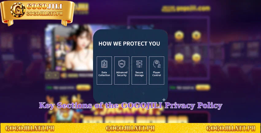 Key Sections of the GOGOJILI Privacy Policy