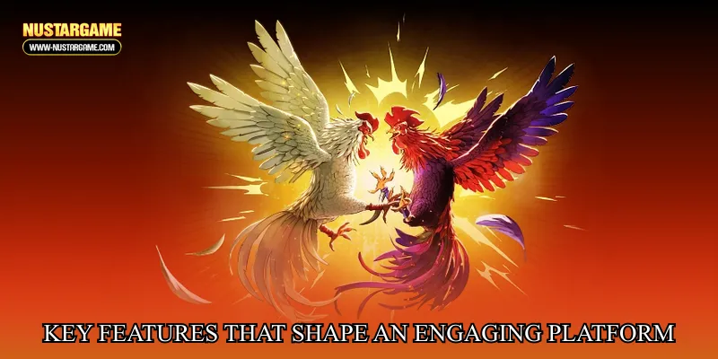 Key Features That Shape an Engaging Platform Experience