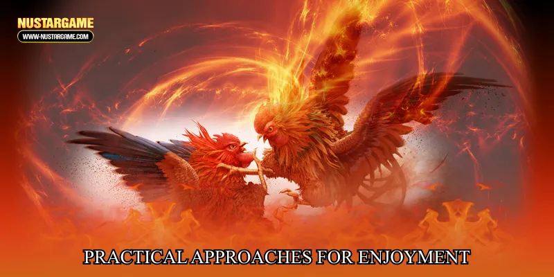 Practical Approaches for Enjoyment and Responsible Participation