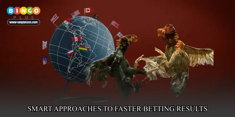 Smart Approaches to Faster Betting Results