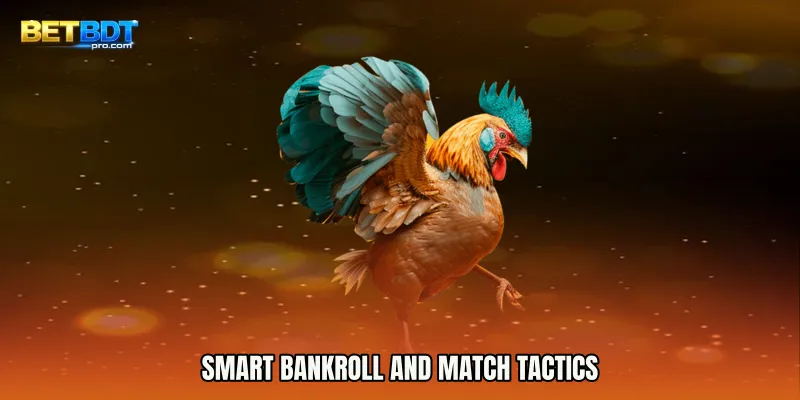 Smart Bankroll and Match Tactics