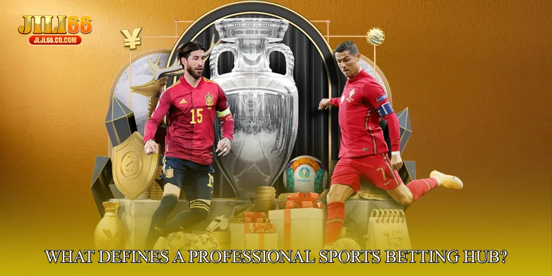 What Defines a Professional Sports Betting Hub?
