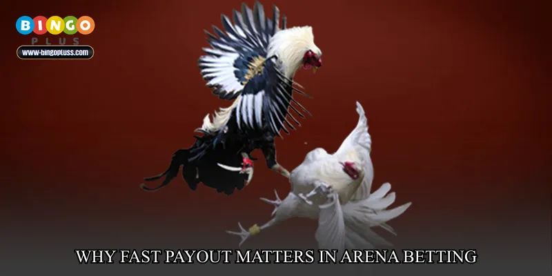 Why Fast Payout Matters in Arena Betting